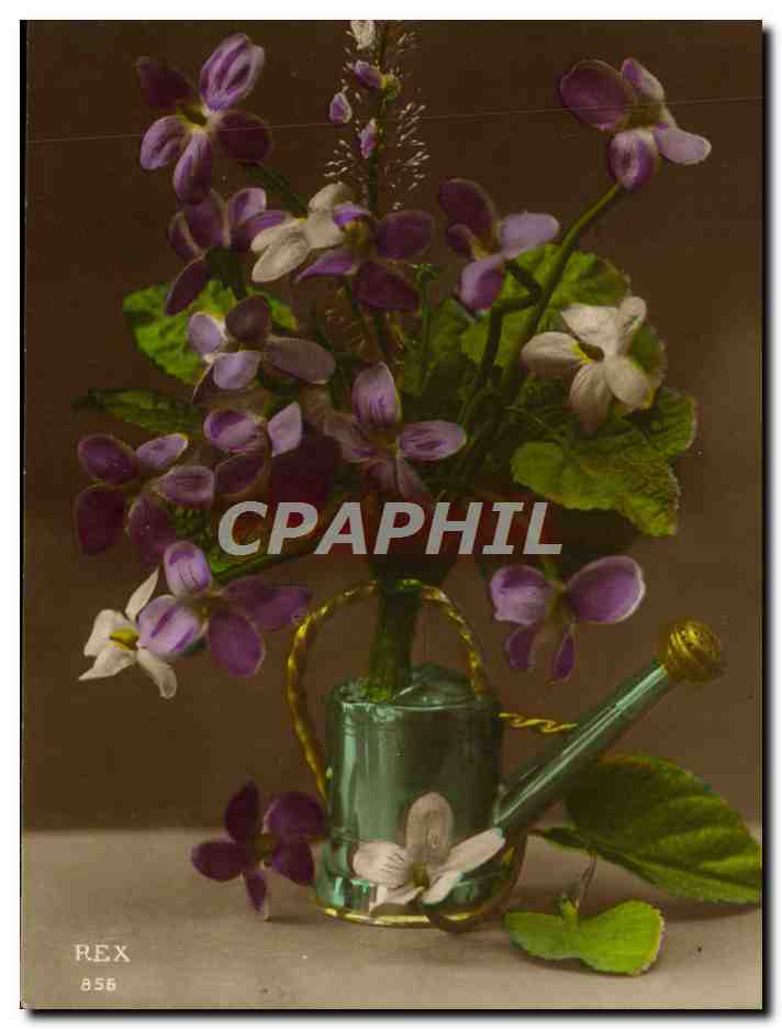 CPA Fantaisie Fleurs