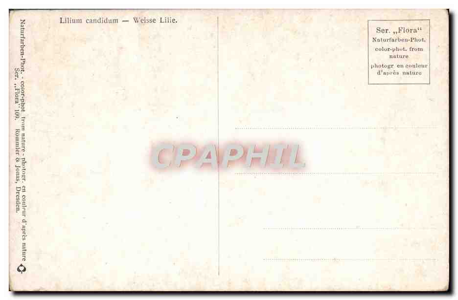 CPA Fantaisie Fleurs — Verso
