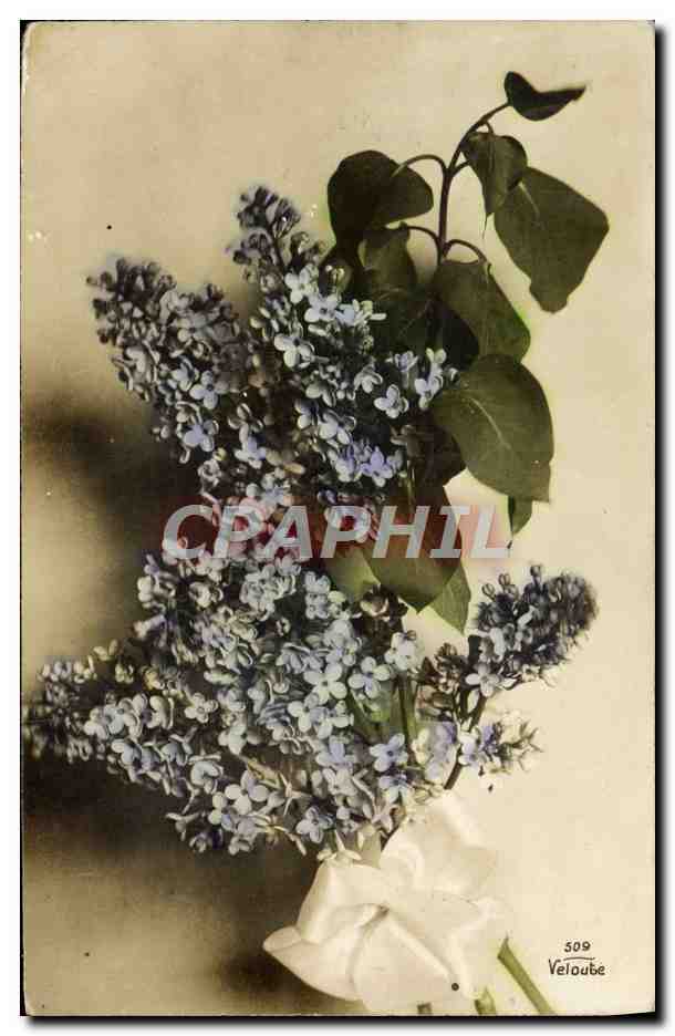 CPA Fantaisie Fleurs