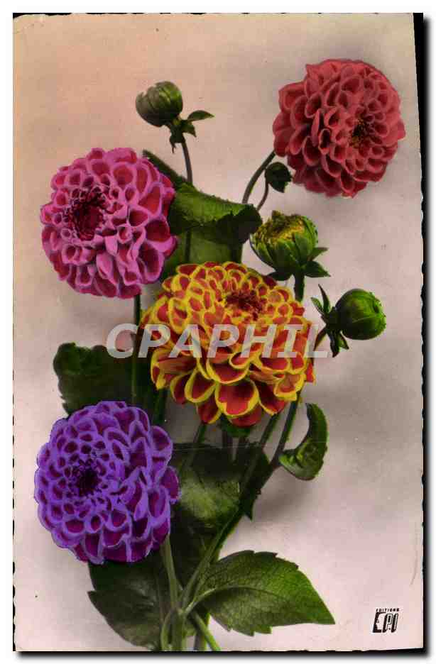 CPA Fantaisie Fleurs