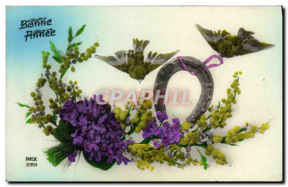 CPA Fantaisie Fleurs Fer a cheval Oiseaux