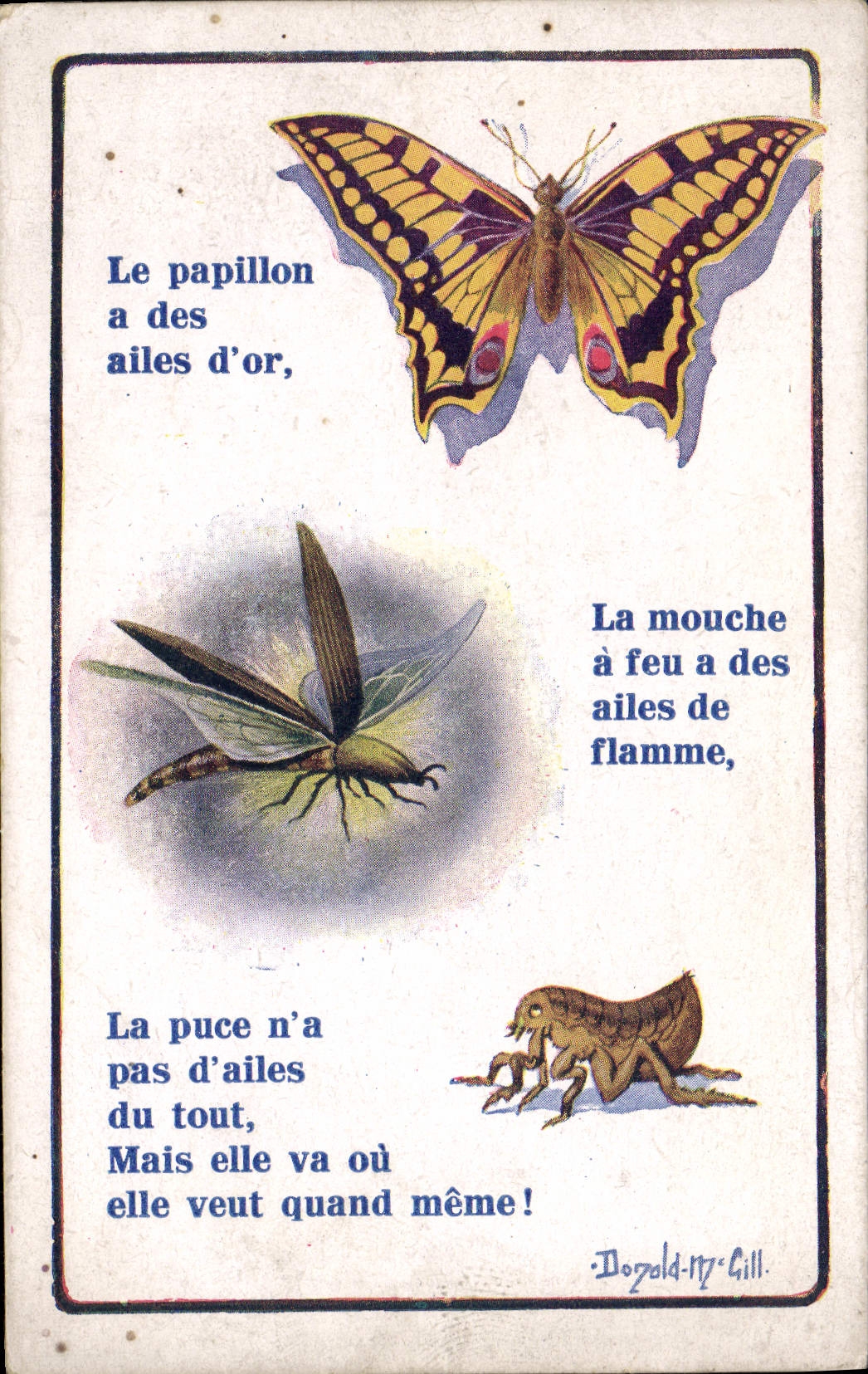 CPA Insectes Papillon Mouche Puce Donald Mc Gill