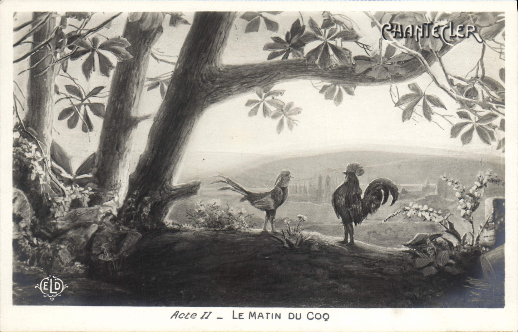 Le Matin du Coq — Acte II — Chantecler