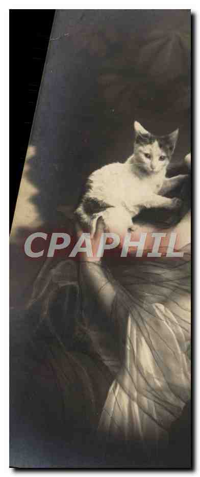 CPA Fantaisie Femme Chat Chaton