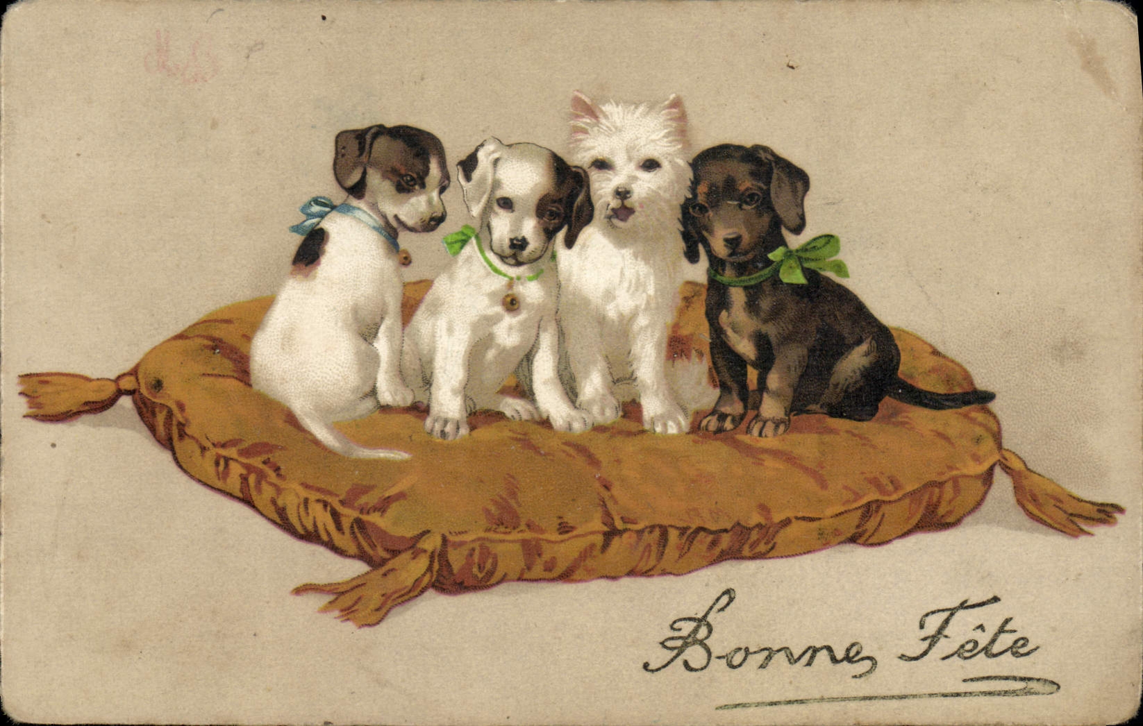 CPA Fantaisie Chien Chiens