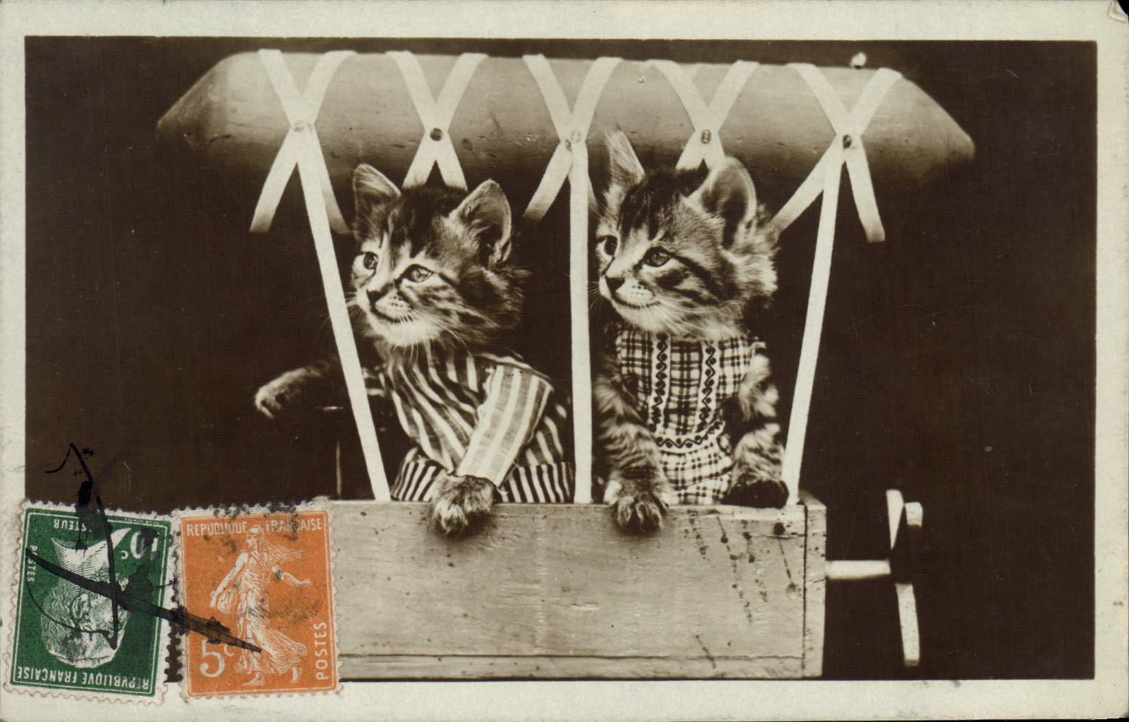 CPA Fantaisie Chat Chats Chaton 