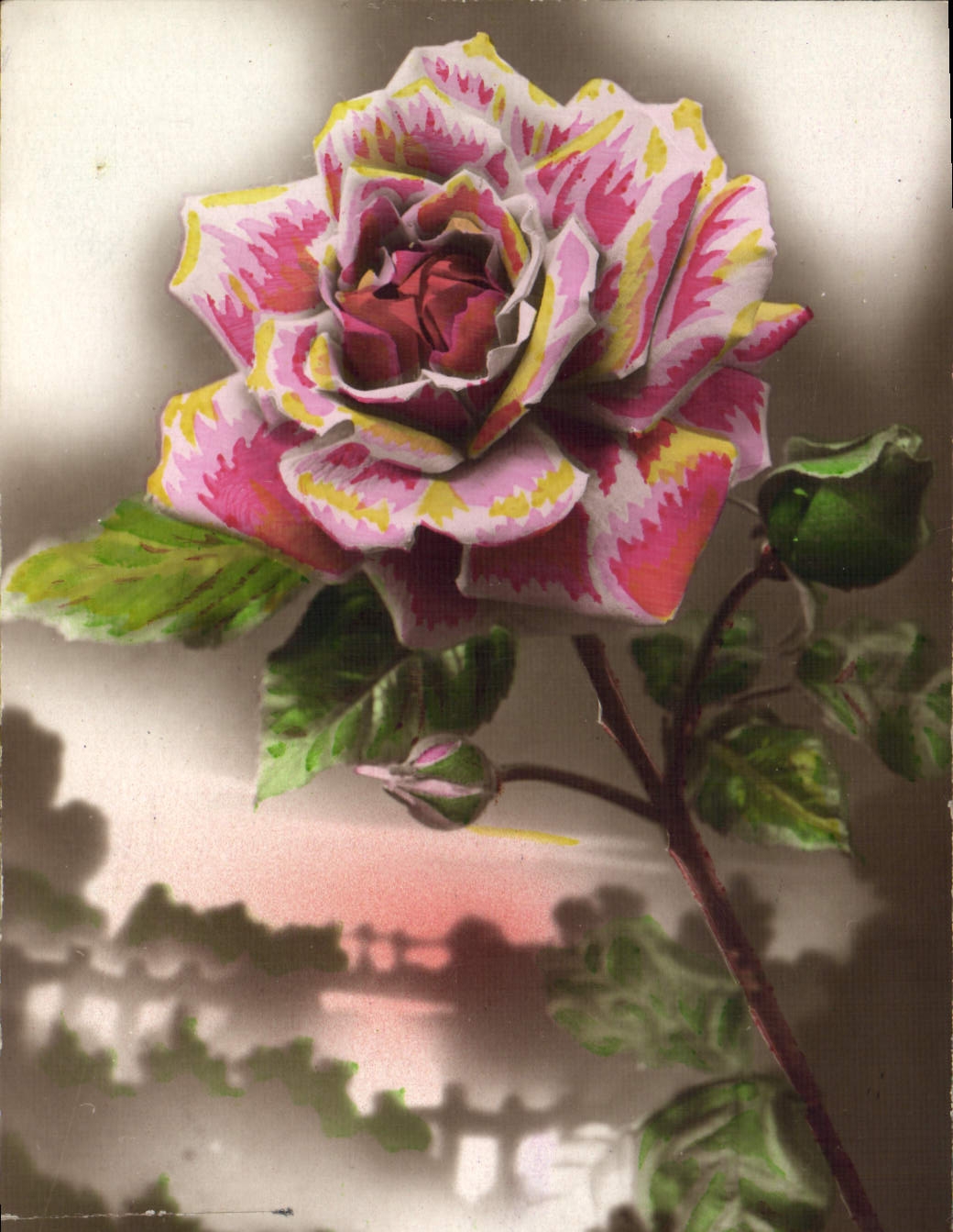 CPA Fantaisie Fleurs Rose