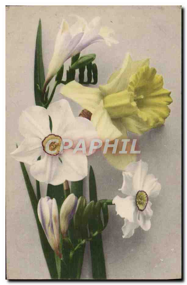 CPA Fantaisie Fleurs