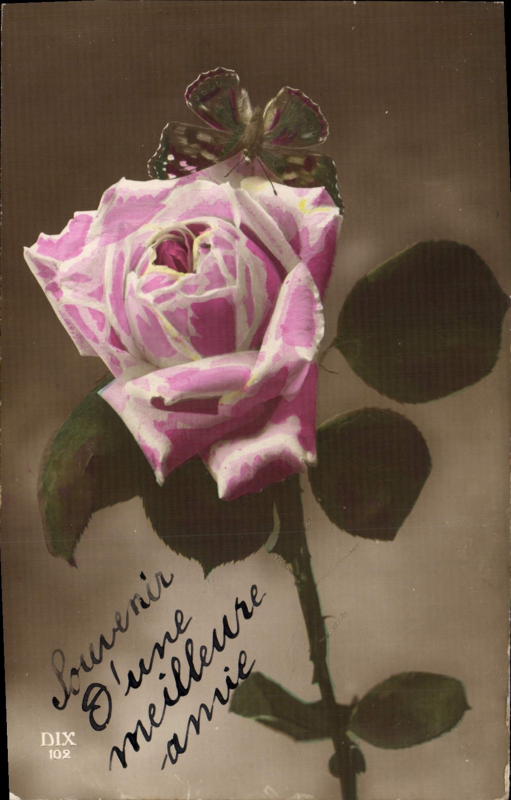 CPA Fantaisie Fleurs Rose