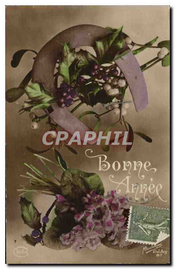 CPA Fantaisie Fleurs Fer a cheval