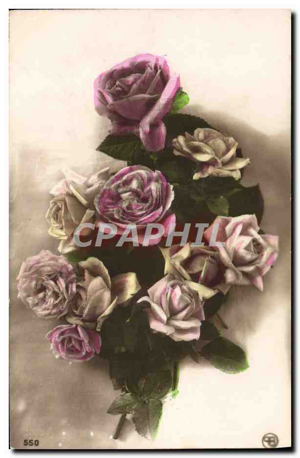 CPA Fantaisie Fleurs Roses