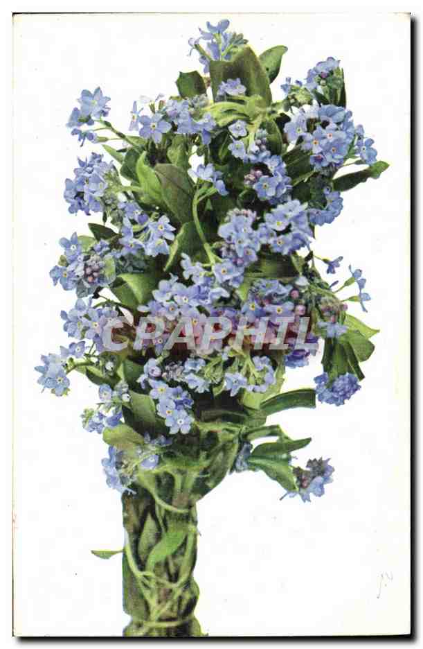 CPA Fantaisie Fleurs