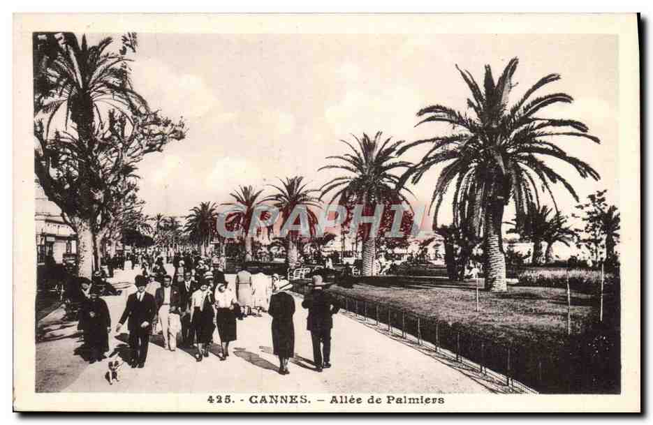 CPA Cannes Allee De Palmiers