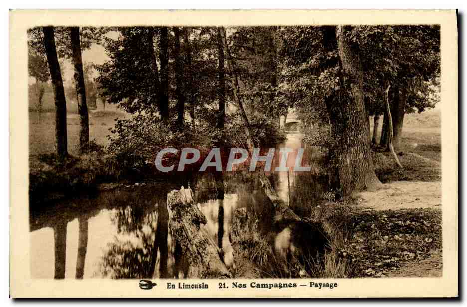 CPA En Limousin Nes Campagnes Paysage