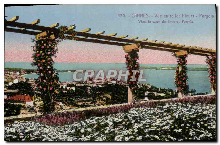 CPA Cannes Vue entre les fleurs Pergola