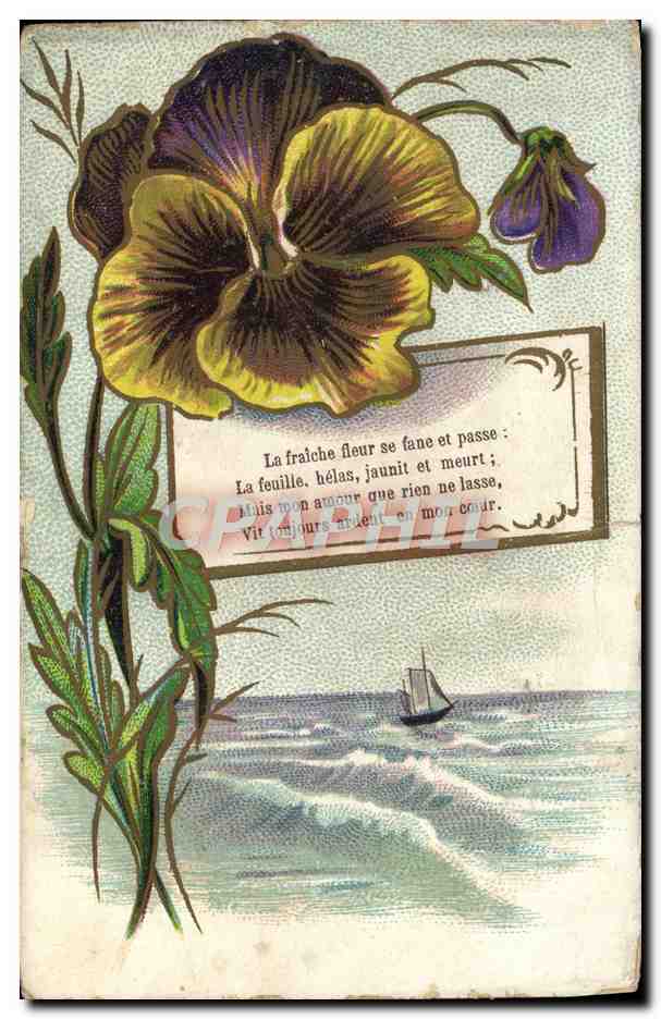 CPA Fantaisie Fleurs 