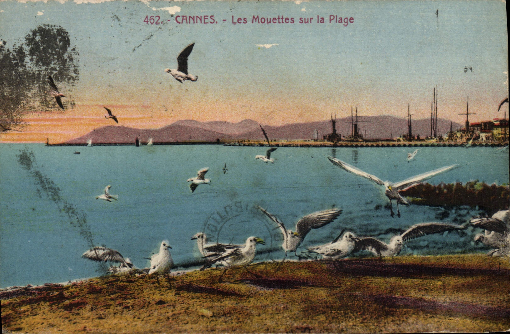 CPA Cannes Les mouettes sur la plage 