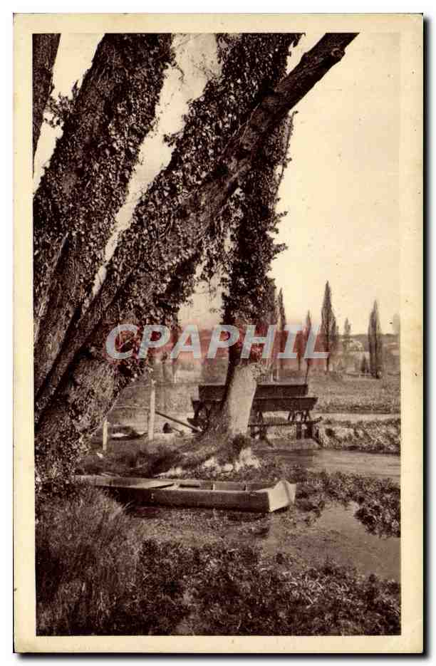 Ruelle-sur-Loire — Vue de la rivière avec barque et arbres — Carte postale