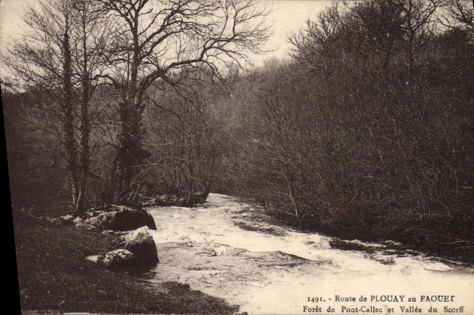 Route de Plouay au Faouët — Forêt de Pont-Callec et Vallée du Scorff — n°1491