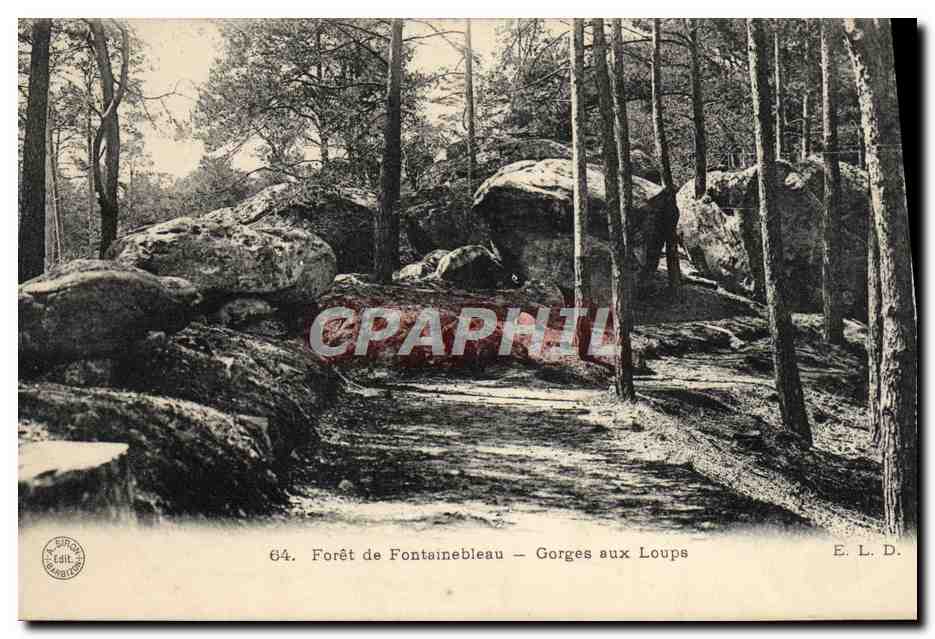 Forêt de Fontainebleau — Gorges aux Loups — E.L.D.