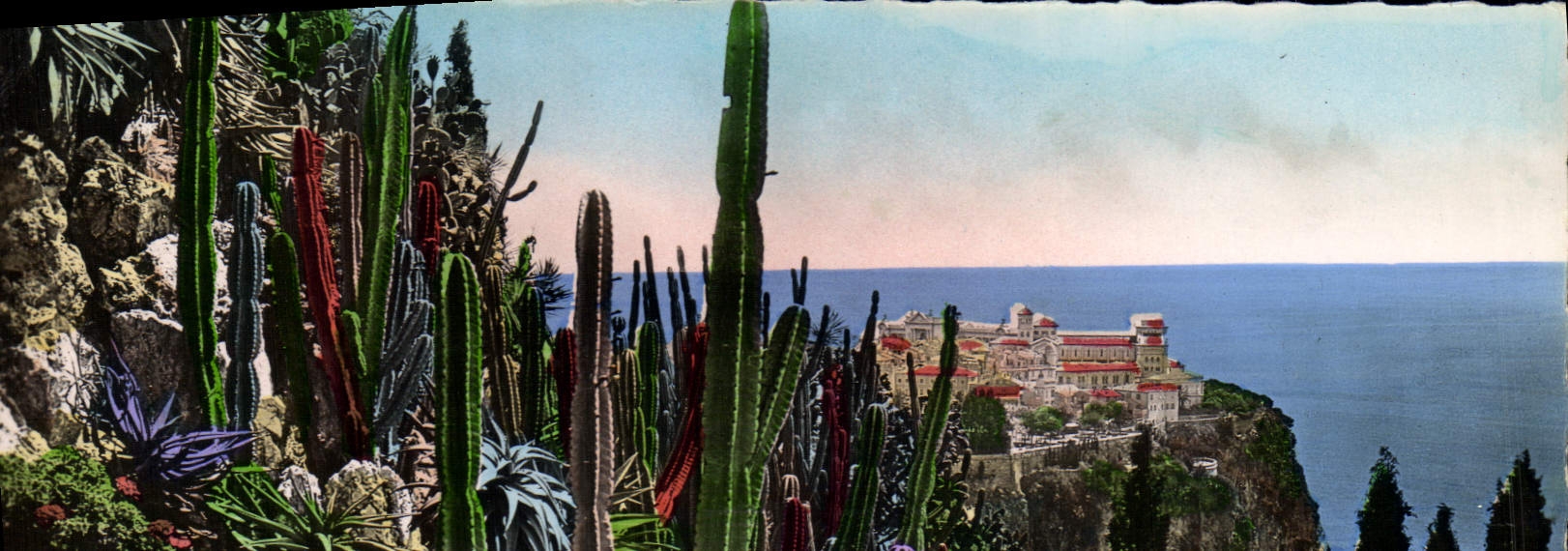 CPM Monaco Les Jardins Exotiques Vue sur le rocher de Monaco