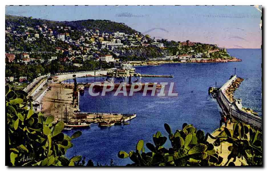 CPM Nice Le Port Et Le Mont Boron