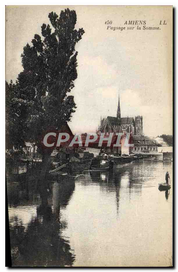 CPA Amiens Paysage sur la Somme