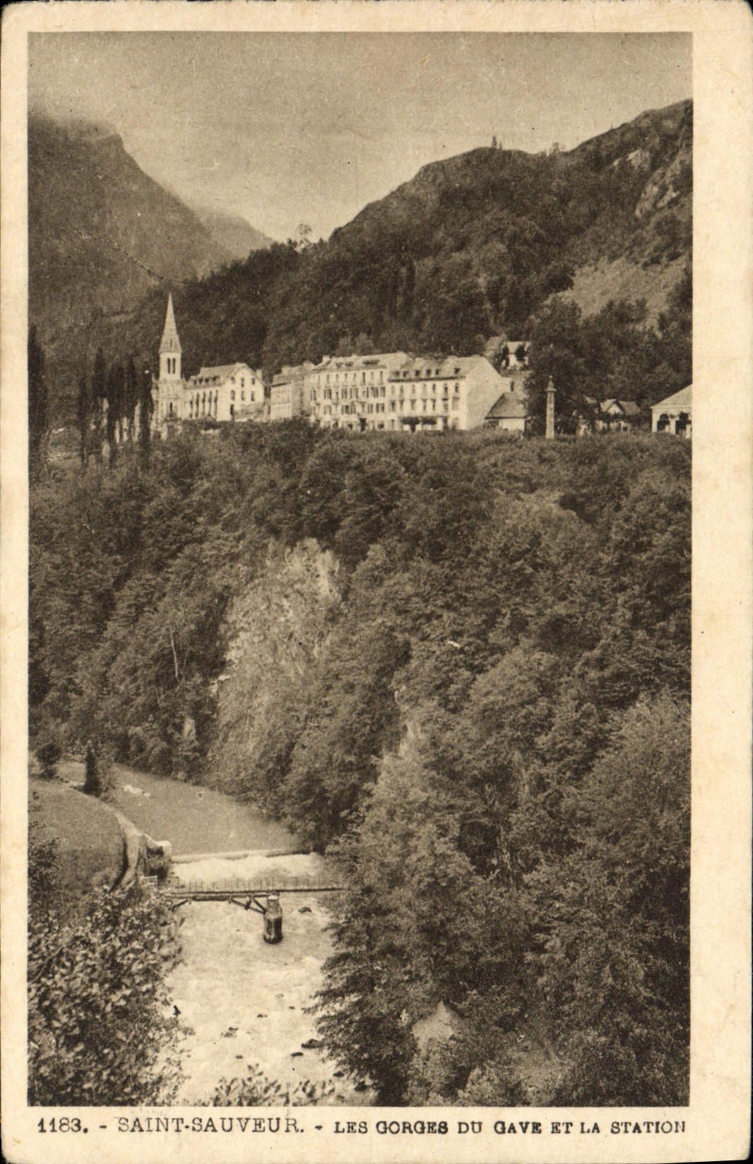 CPA Saint Sauveur Les Gorges du Gave et la station