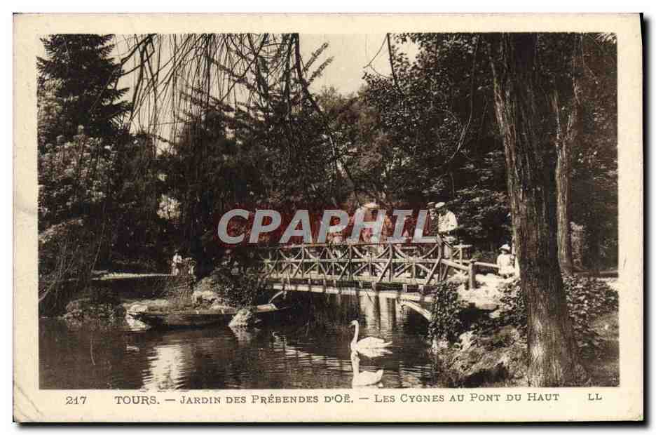 CPA Tours Jardin Des Prebendes D'Oe Les Cygnes Au Pont du haut