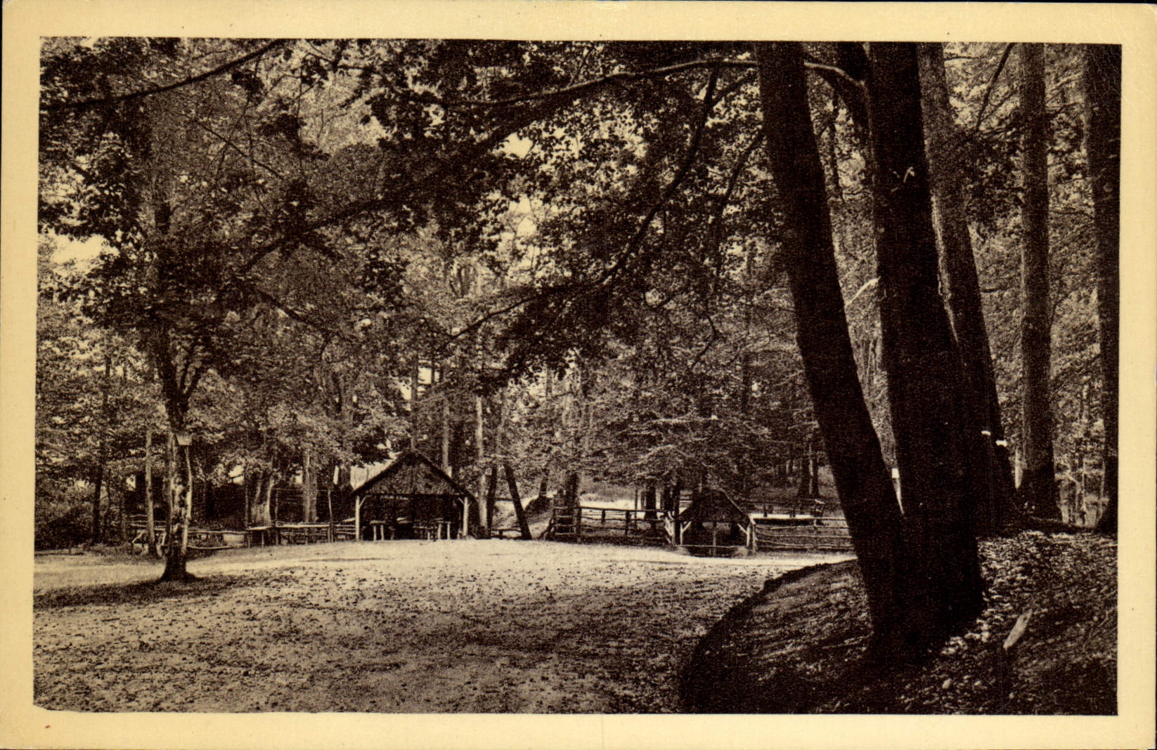 CPA Environs de Chateau du Loir Sources de l'Hermitiere 