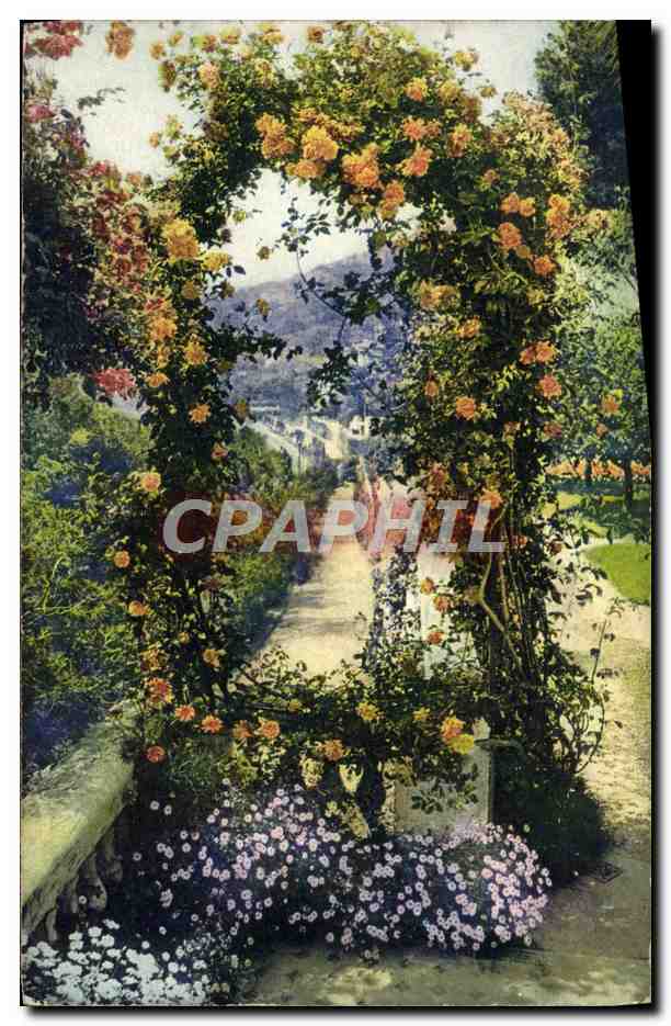 CPA Cote d'Azur Le jardin fleuri Fleurs 