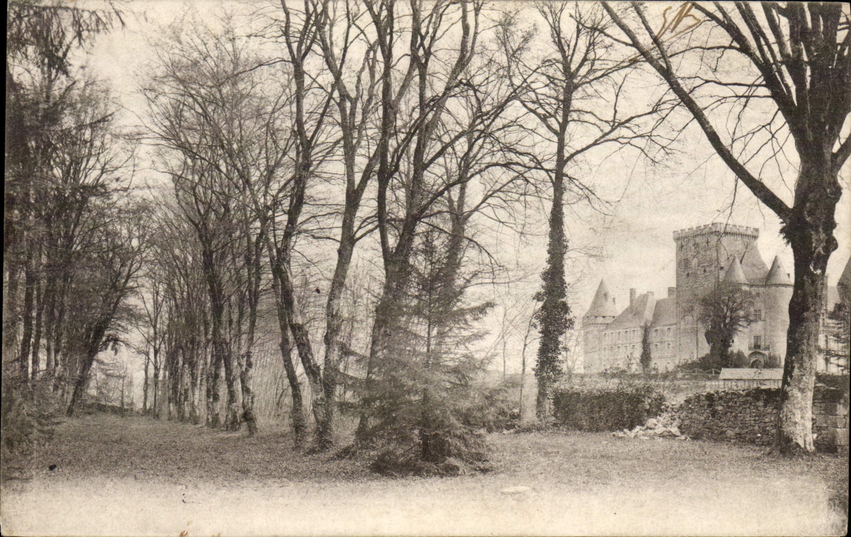 Château de La Rochefoucauld — vue par un chemin bordé d'arbres — F. Braun, Photo-Editeur, Royan (Charente-Inférieure) - Recto
