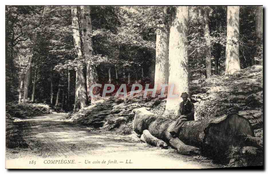 Compiègne — Un coin de forêt — LL. n°185