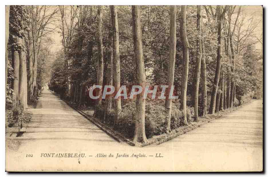 Fontainebleau — Allées du Jardin Anglais — LL. n°102