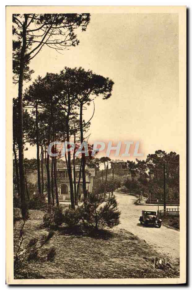 CPA La Baule les Pins Une Vue de la Foret Automobile