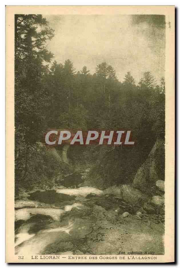 CPA Le Lioran Entree Des Gorges De L'Allagnon