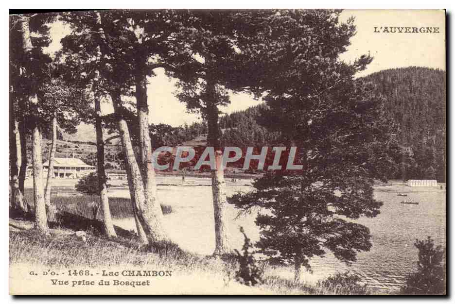 CPA Lac Chambon Vue Prise Du Bosquet