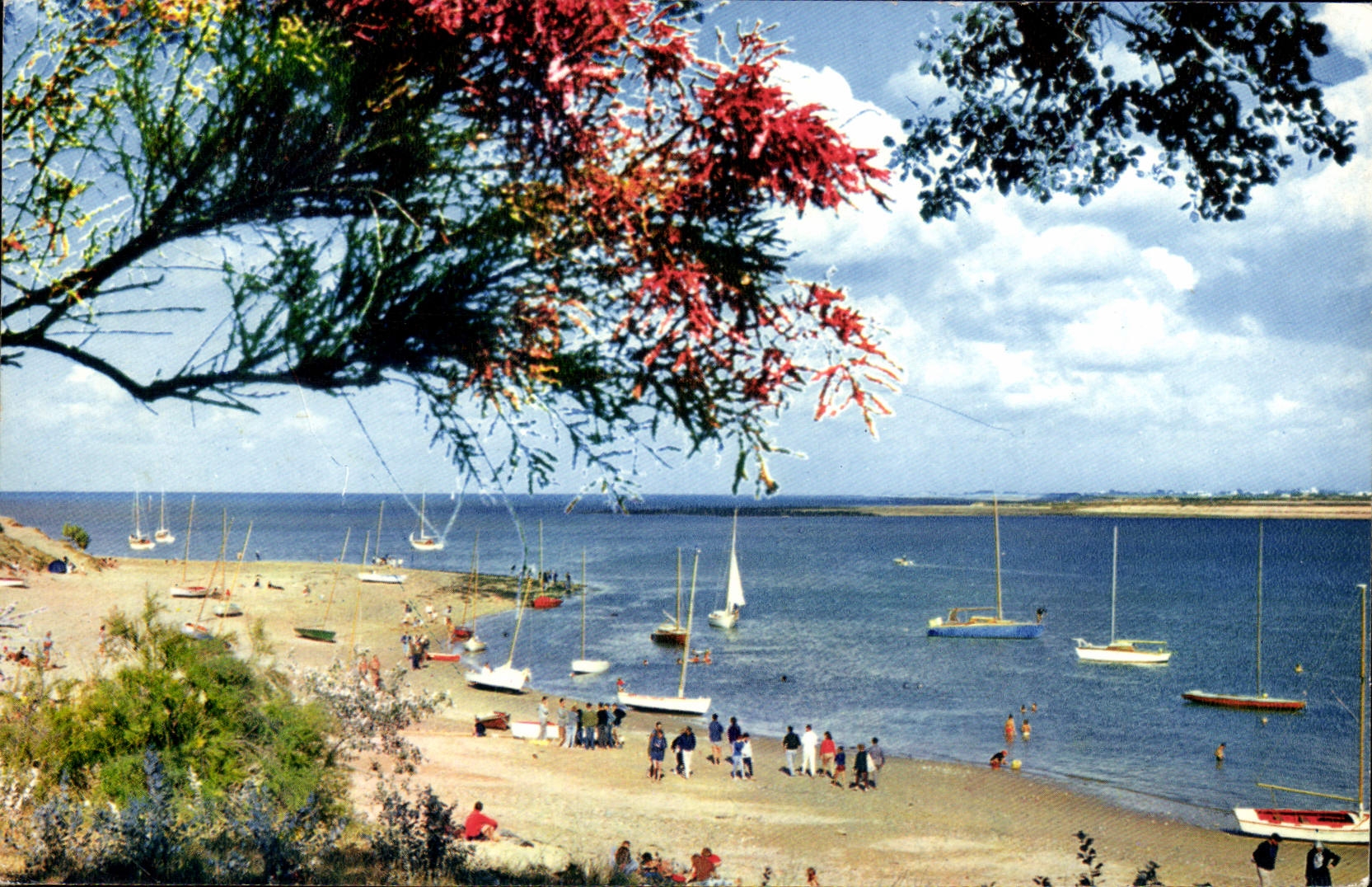 Strand von Trousse-Chemise — Île de Ré — Verlag La Flottille, Nr. 1542