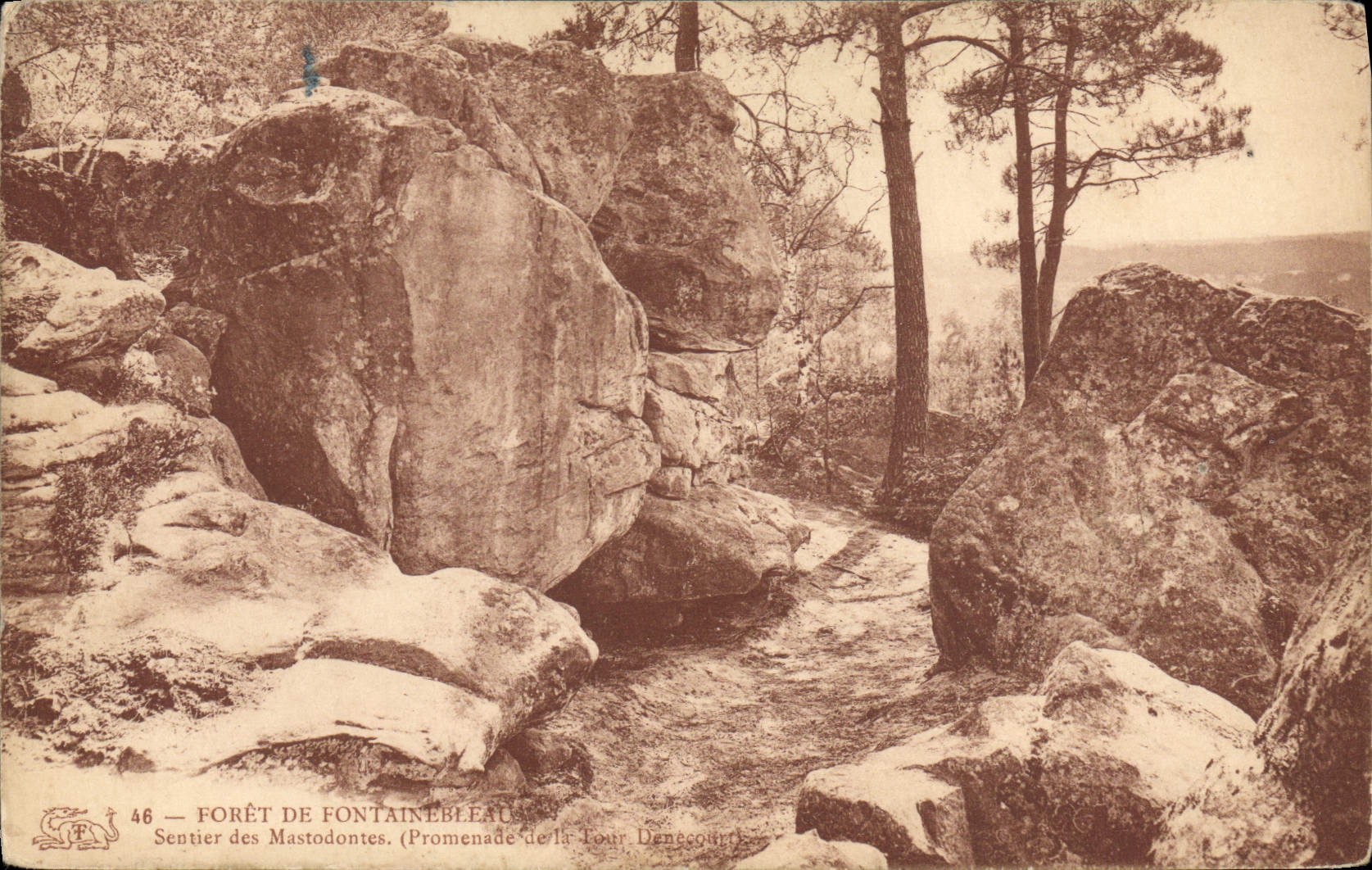 Forêt de Fontainebleau — Sentier des Mastodontes — Promenade de la Tour Denecour