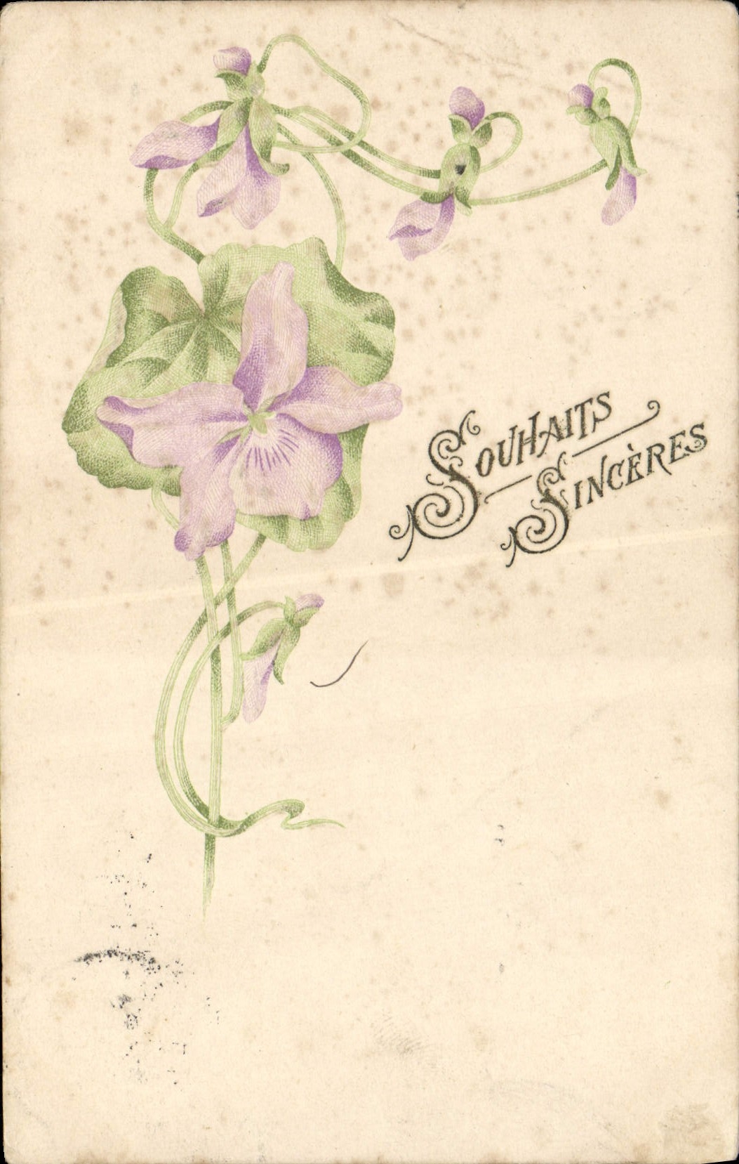 CPA Souhaits Sinceres Fleurs