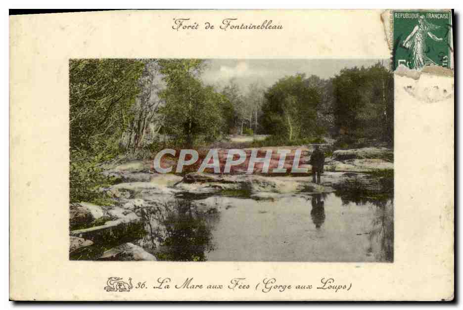 Forêt de Fontainebleau — La Mare aux Fées (Gorge aux Loups) — série 36, éditeur non visible