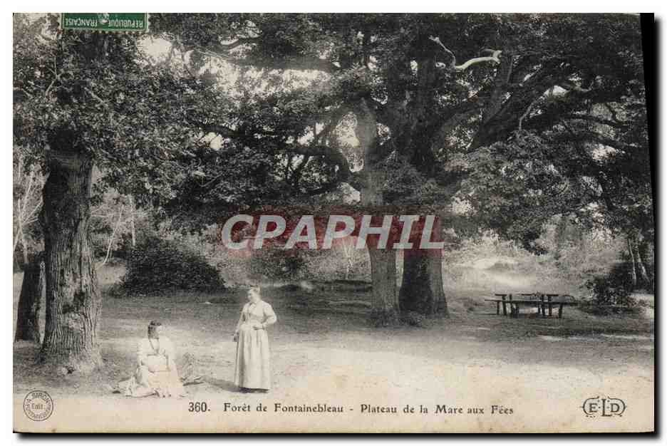 Foresta di Fontainebleau - Plateau de la Mare aux Fées — Editore E.D. n°360
