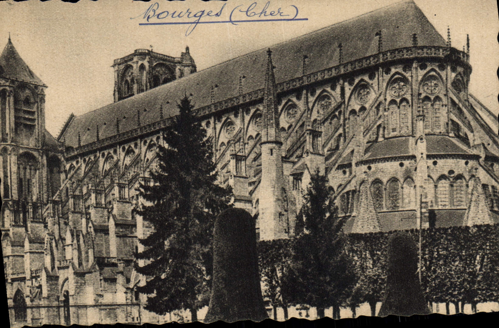 CPA Bourges La Cathedrale vue prise du jardin de l'hotel de ville