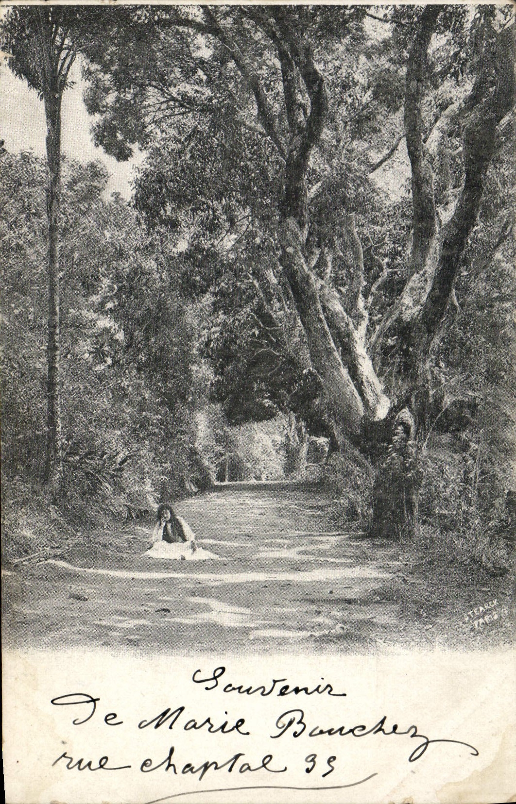 CPA Sous bois