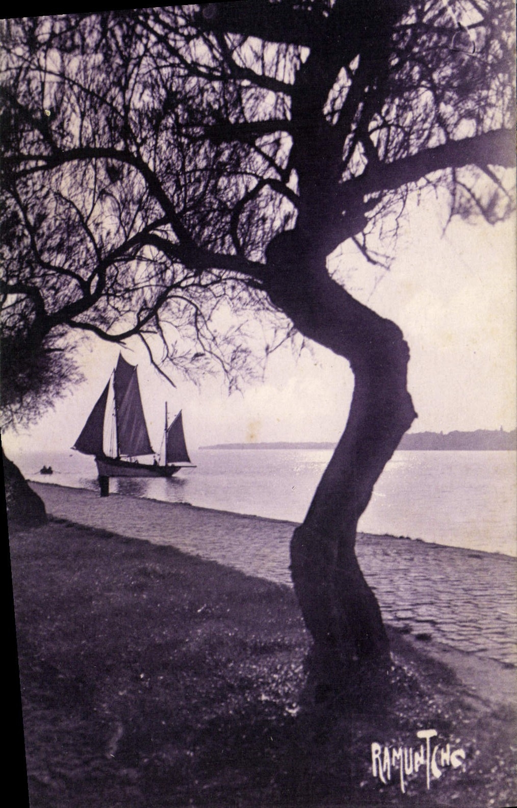 CPA La Rochelle Promenade des Tamaris Bateau