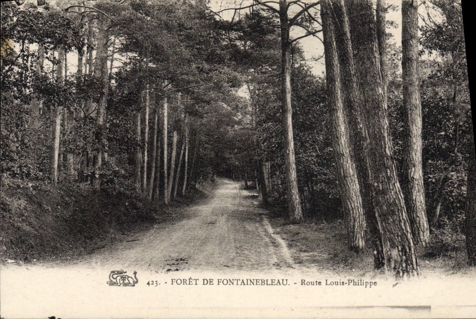 Forêt de Fontainebleau — Route Louis-Philippe — n°423