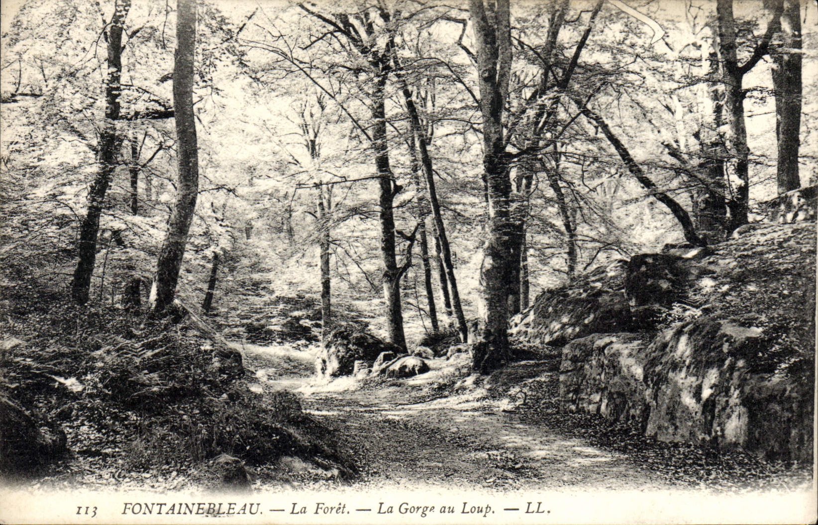 Fontainebleau — Die Wälder — Die Schlucht des Wolfs — LL. — Nr. 113