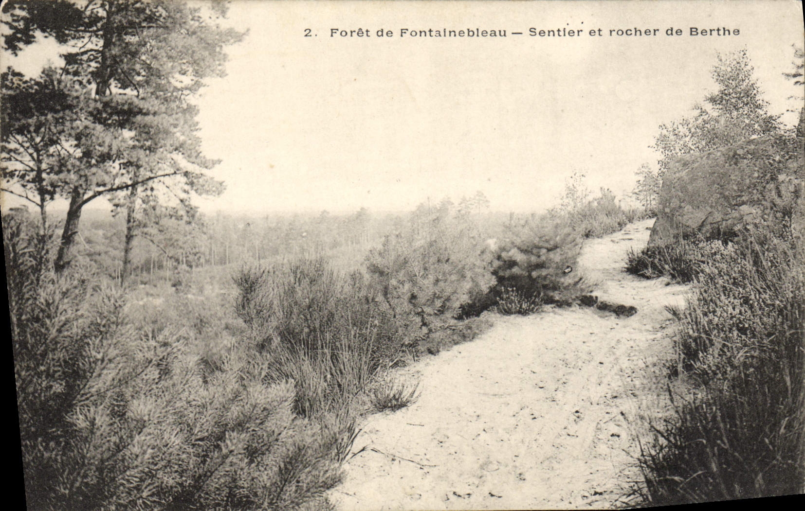 Forêt de Fontainebleau — Weg und Felsen Berthe — n°2