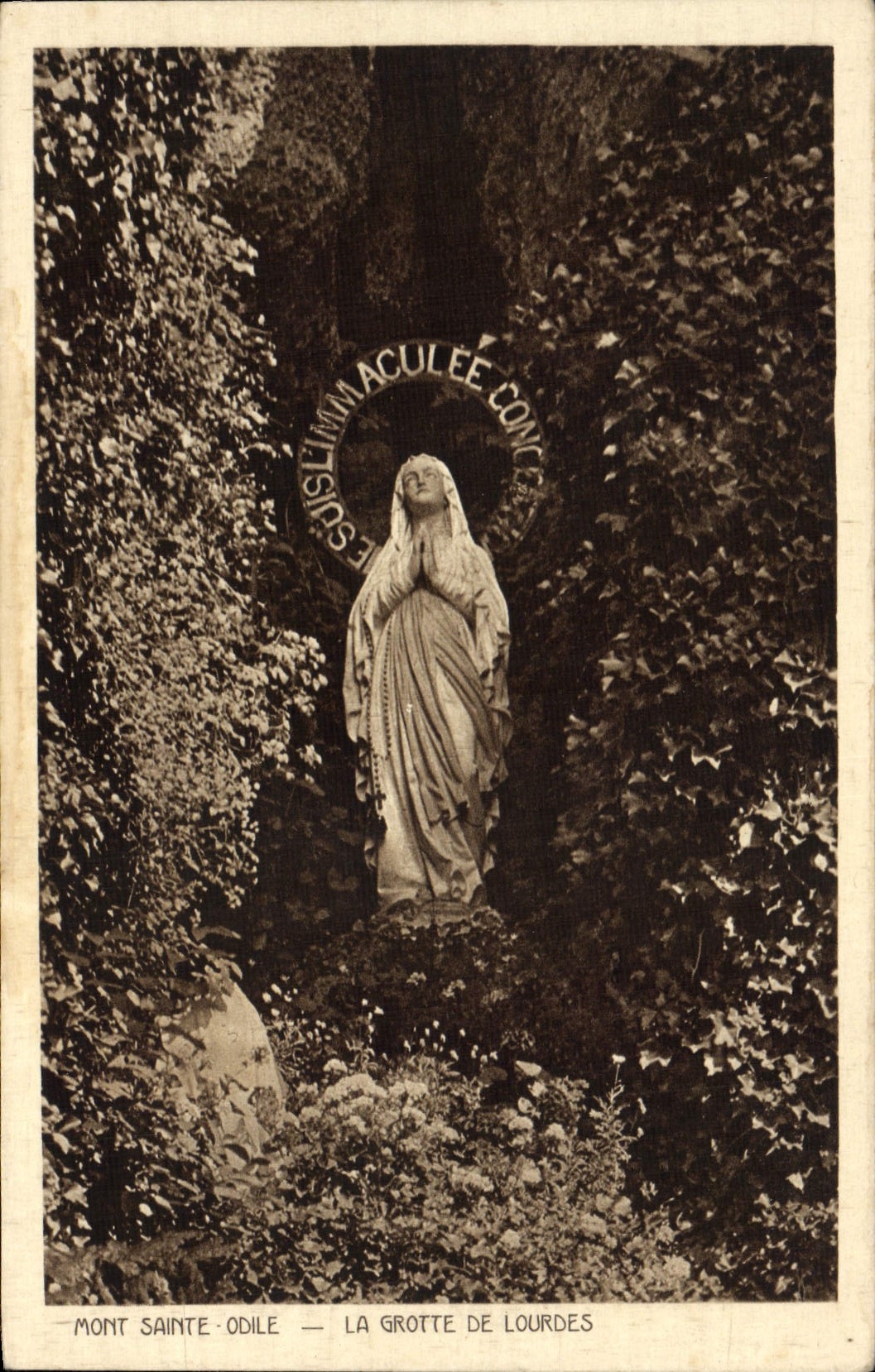 CPA Mont Sainte Odile La Grotte De Lourdes