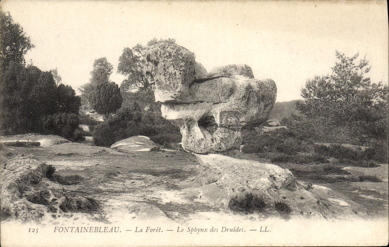 Fontainebleau — La Forêt — Le Sphynx des Druides — LL. — N° 125